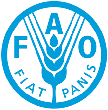 Logo du partenaire Organisation des Nations Unies pour l'Alimentation et l'Agriculture